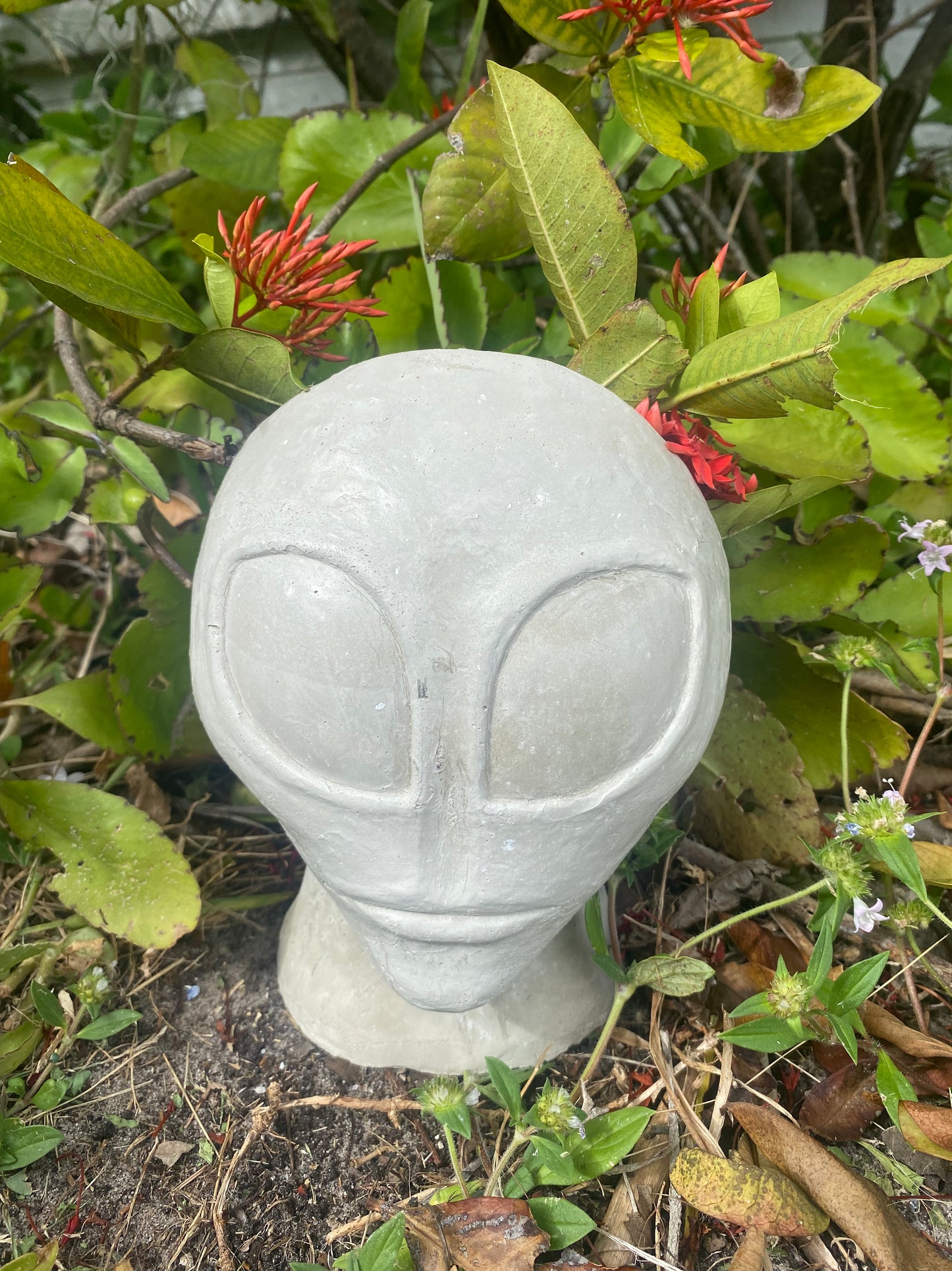 Concrete Alien Planter