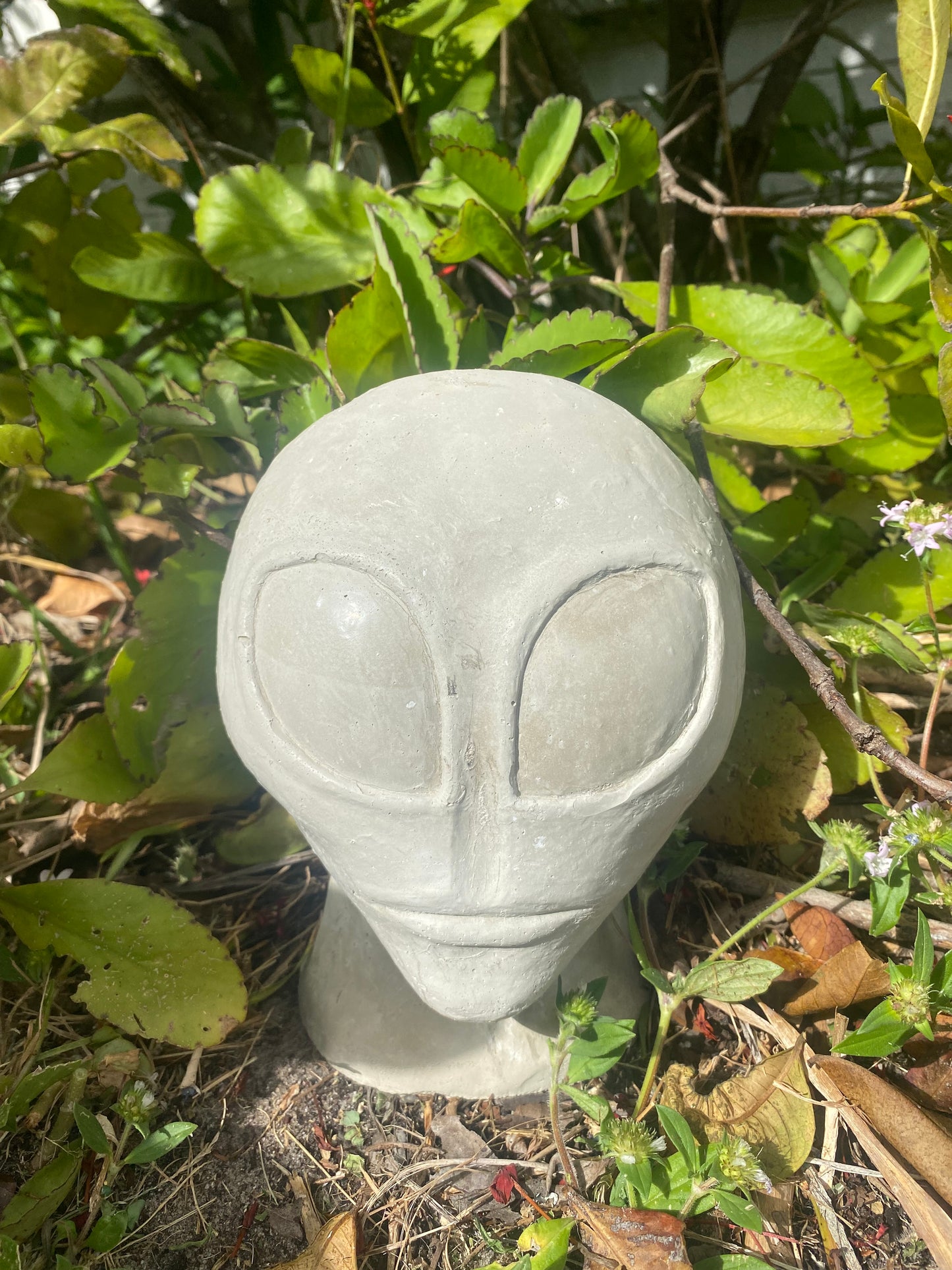 Concrete Alien Planter