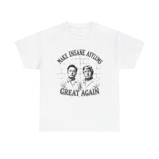 Make Insane Asylums Great Again Funny Unisex Heavy Cotton Tee
