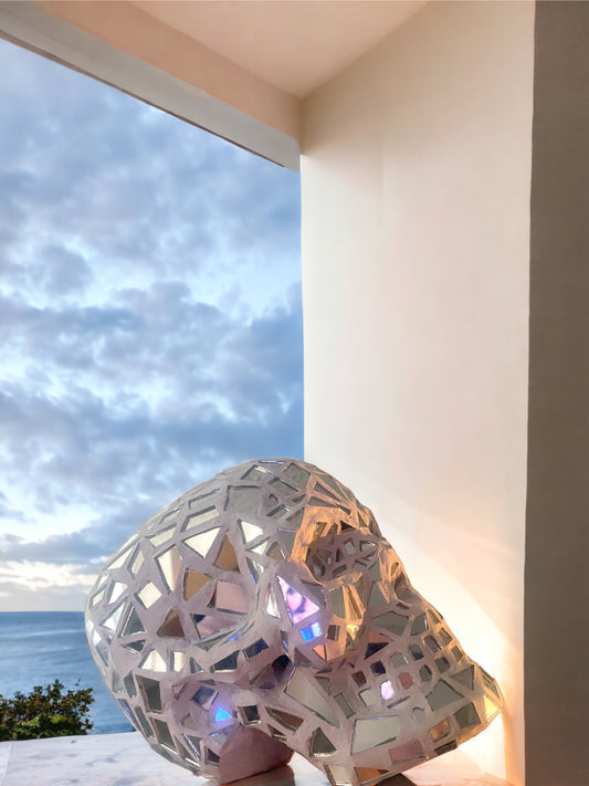 Broken Mirrors Skull