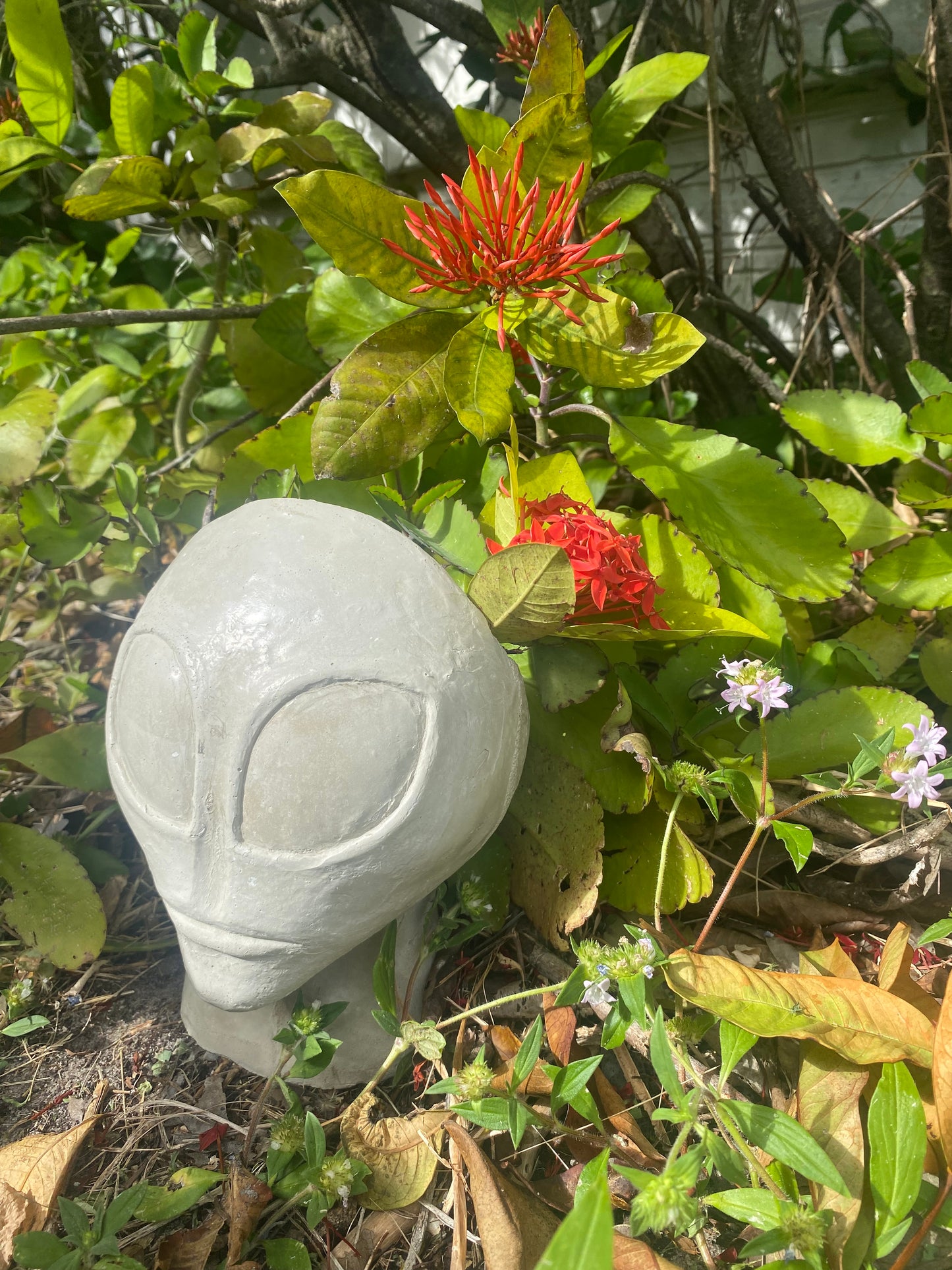Concrete Alien Planter