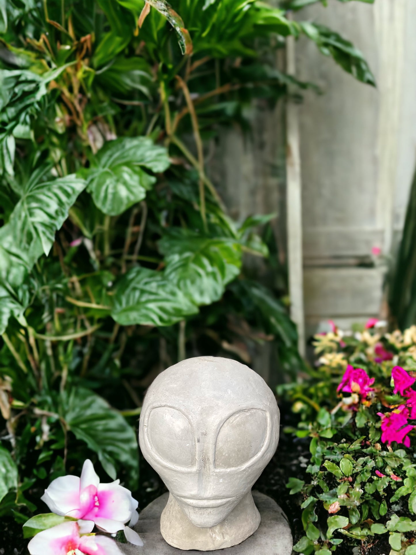Concrete Alien Planter