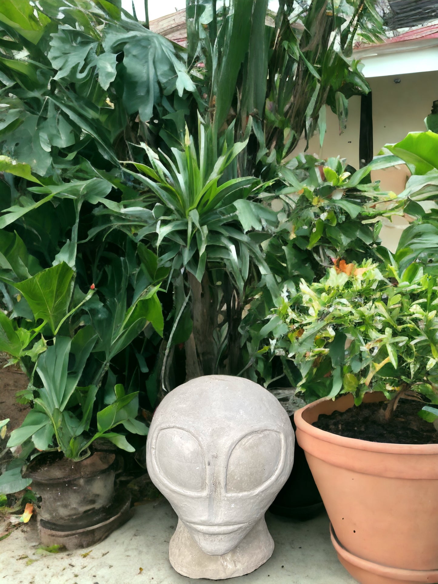 Concrete Alien Planter