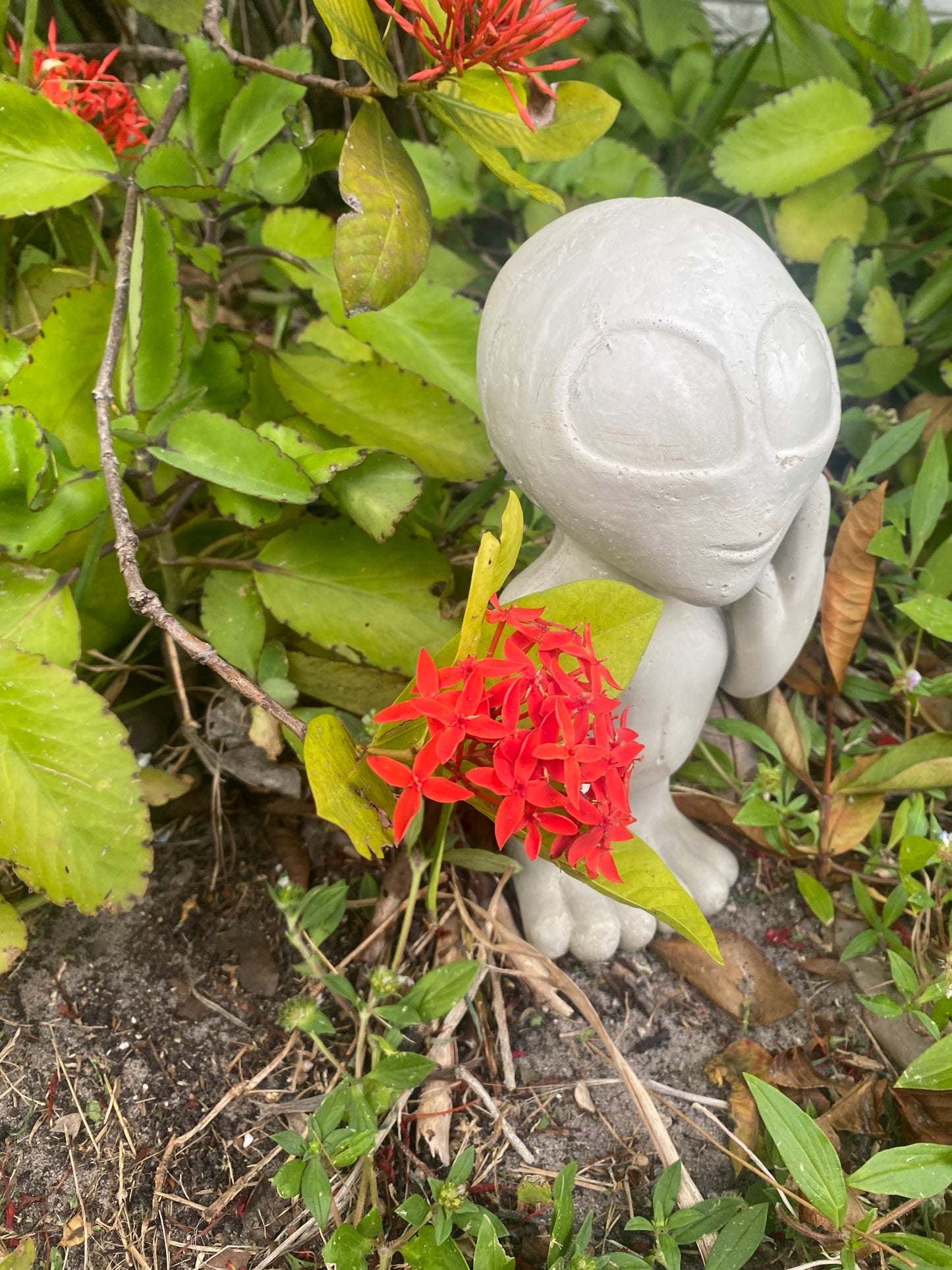 Concrete Alien Garden Statue
