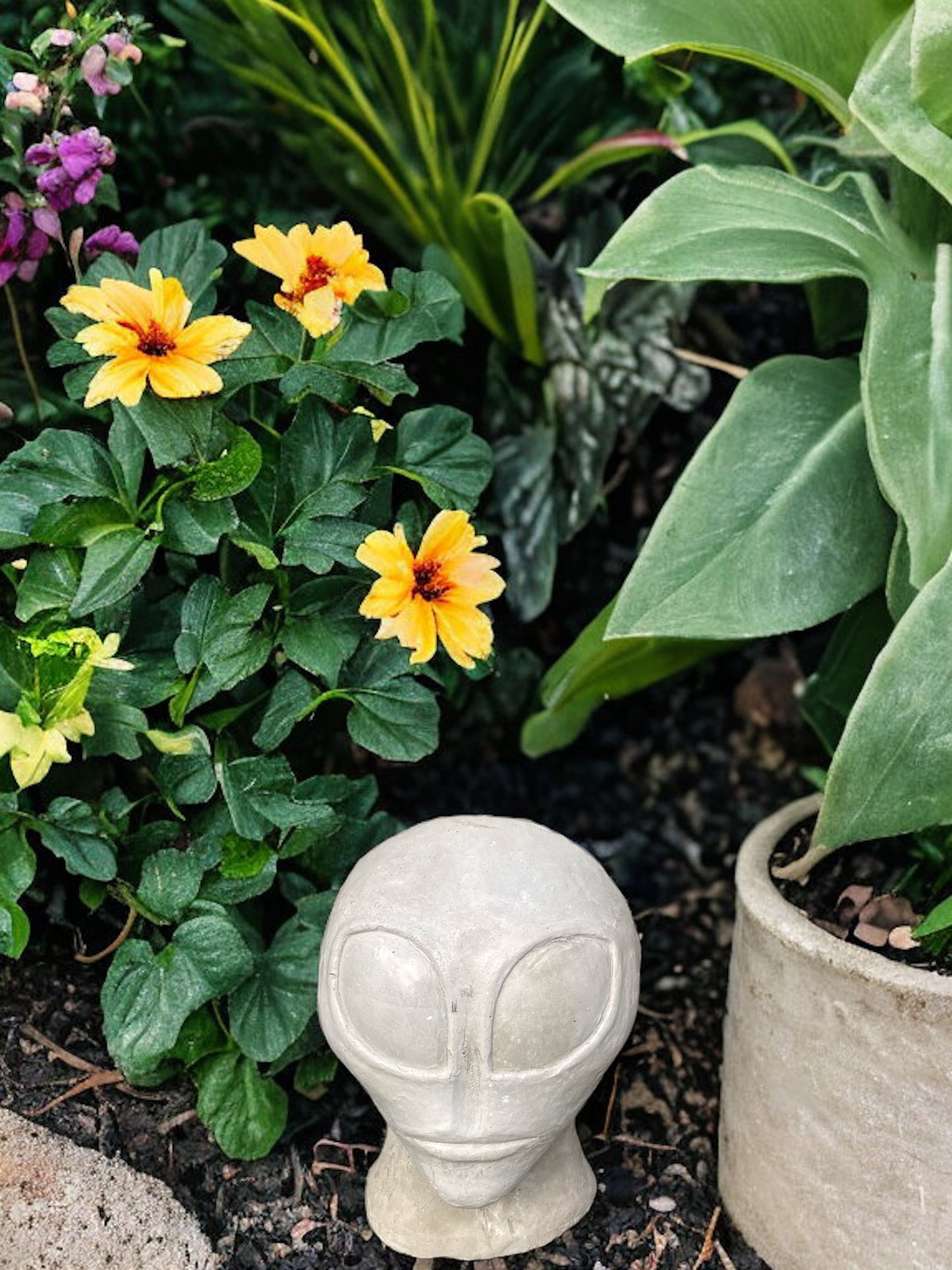 Concrete Alien Planter