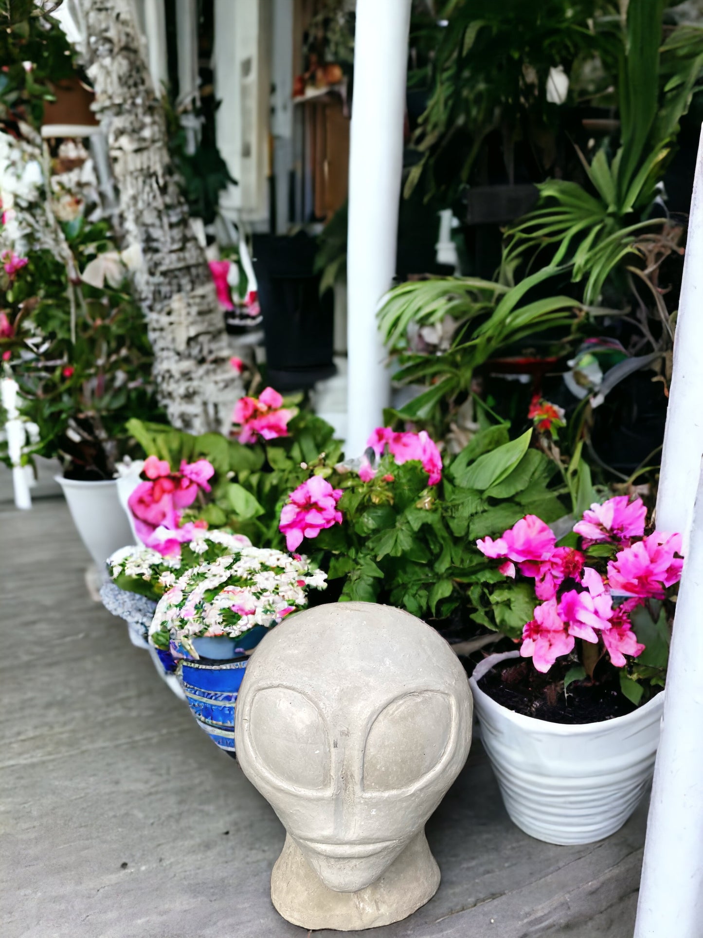 Concrete Alien Planter