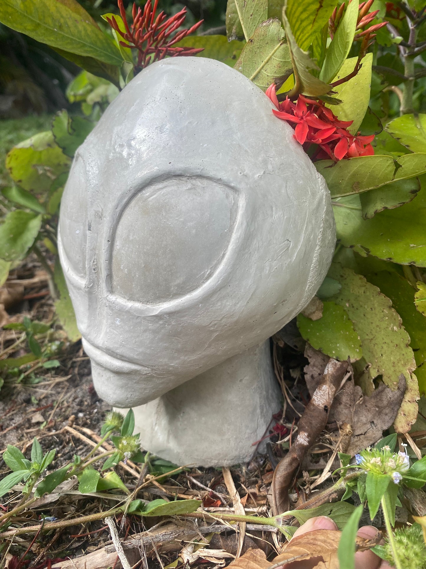 Concrete Alien Planter