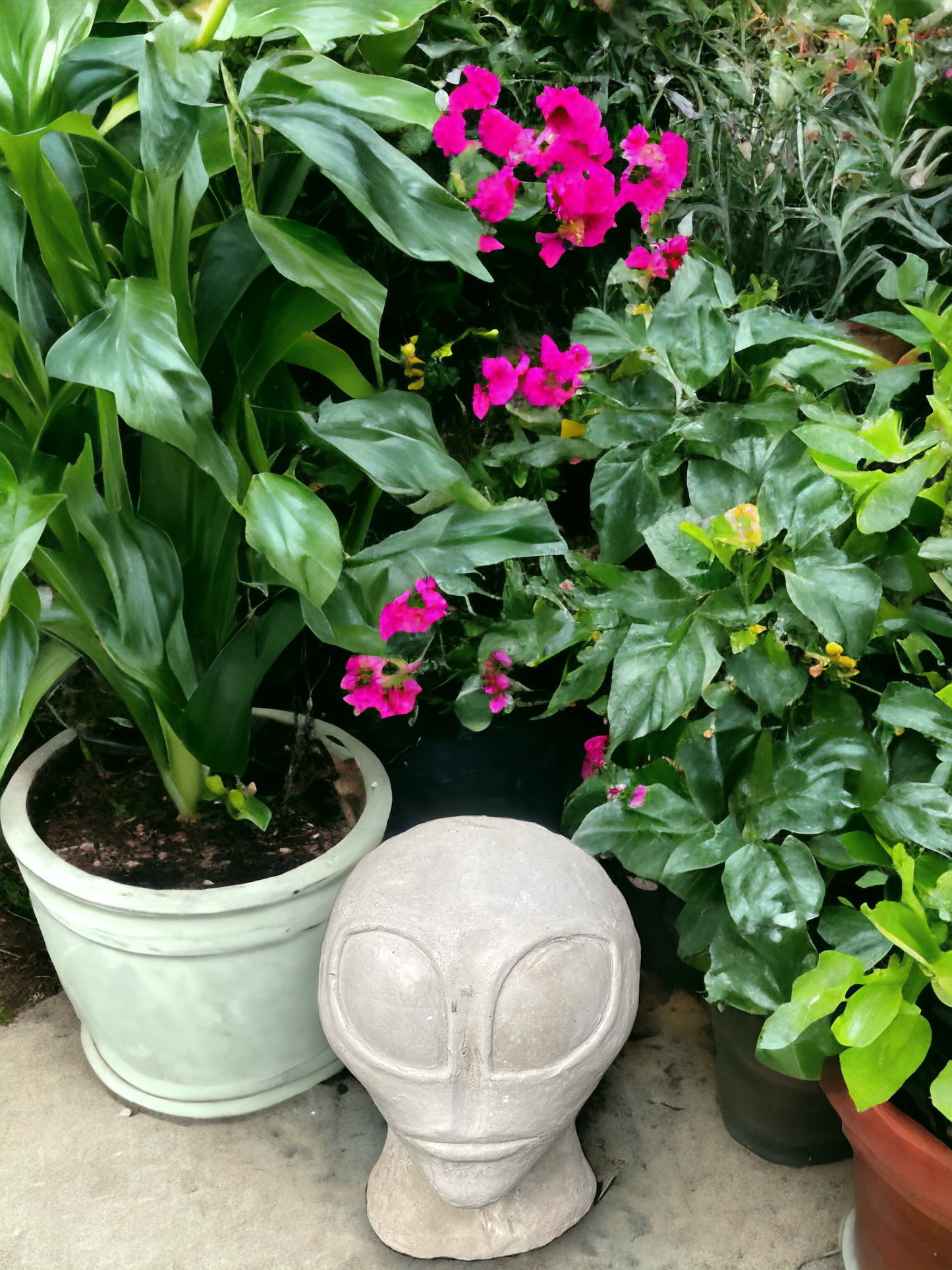 Concrete Alien Planter