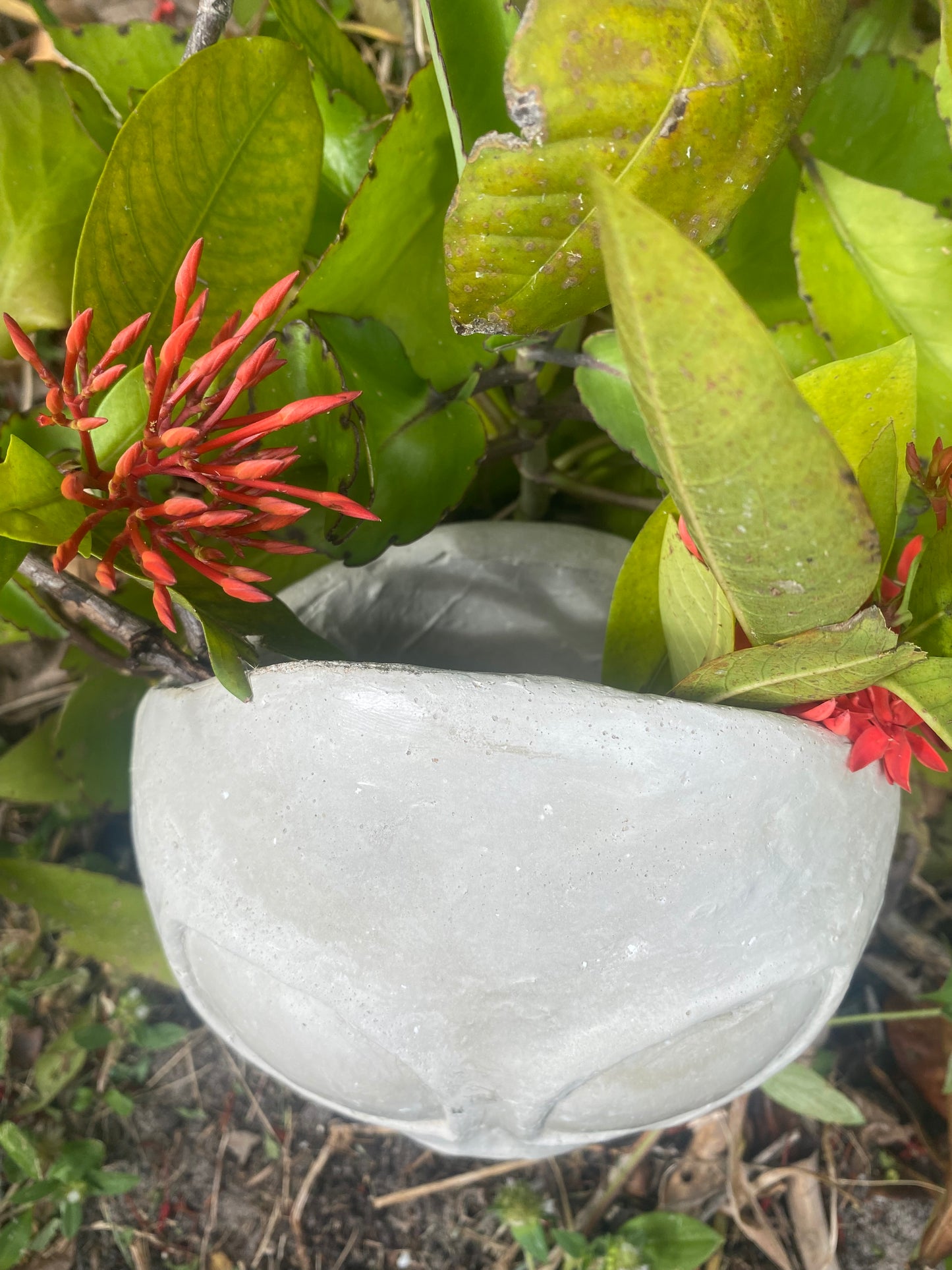 Concrete Alien Planter